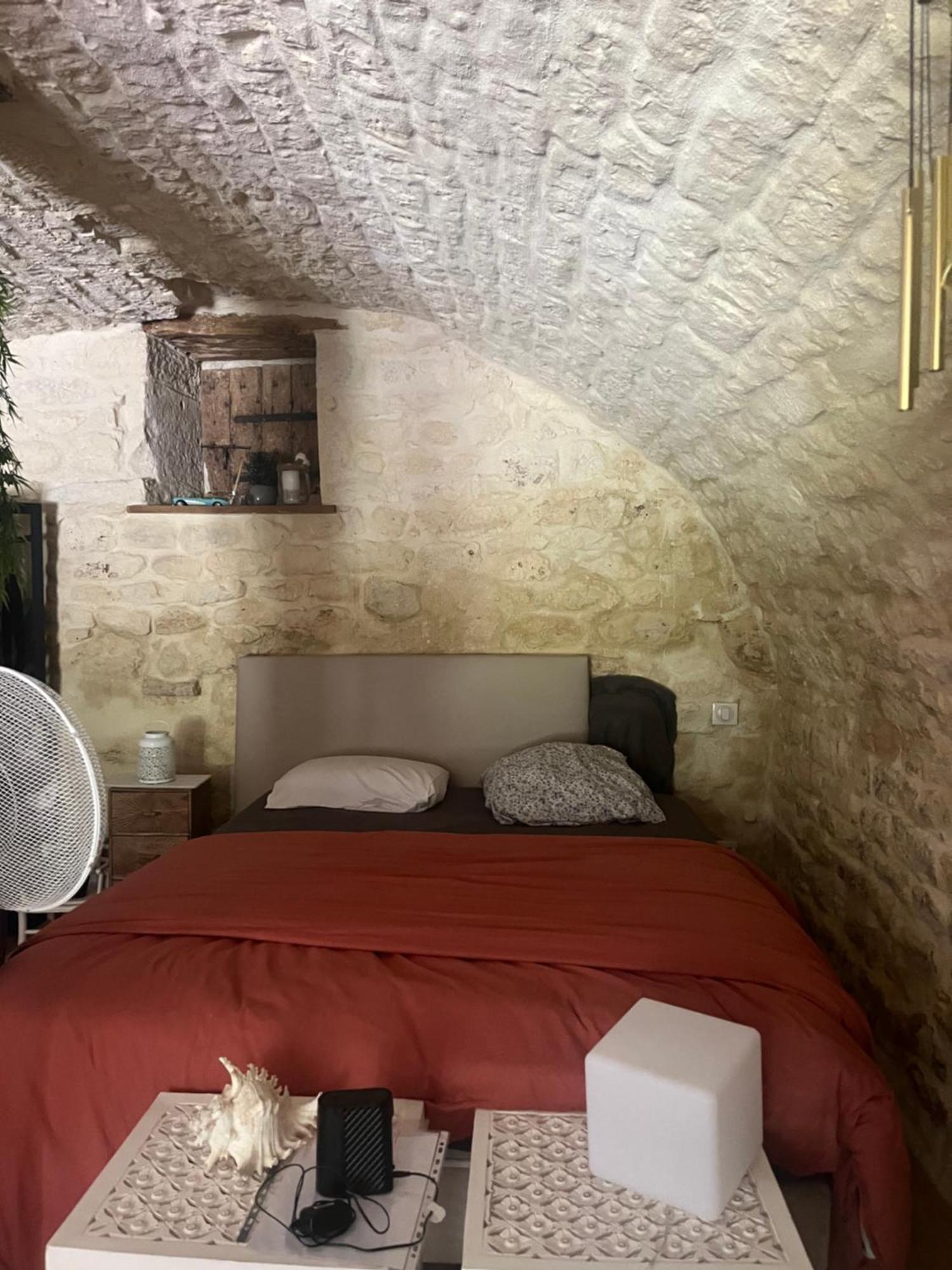 Apartament Voute Des Anges Type Loft Sans Cloison Castelnau-Montratier Zewnętrze zdjęcie